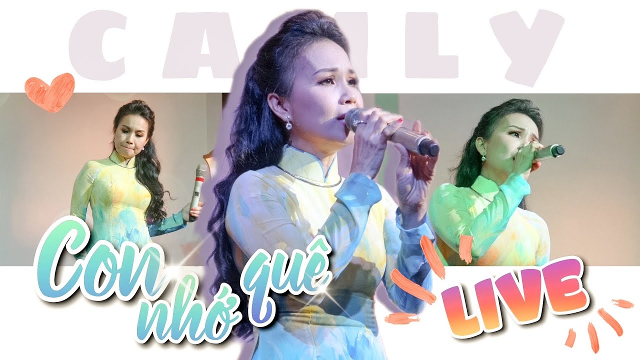 CON NHỚ QUÊ Live | Cẩm Ly | Phòng trà Đồng Dao 3/2/2022