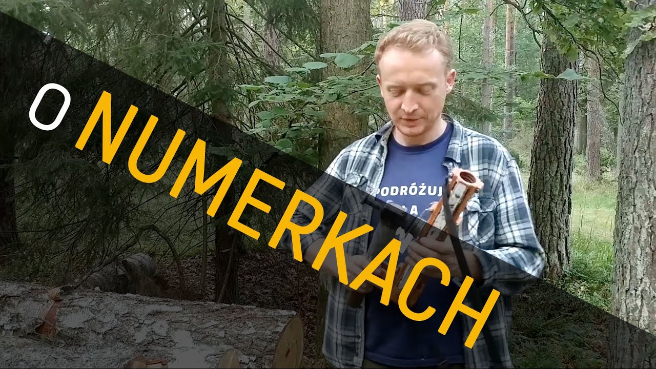Leśne numerki - o Lesie #01