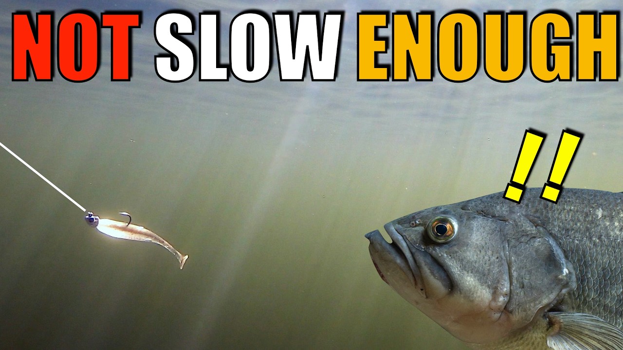 Why We FAIL:Avoid Lure Retrieve Mistakes and Gain Total Speed Control