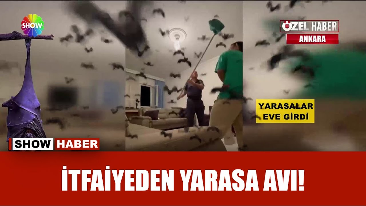 Gençlerin evini yarasa basarsa!