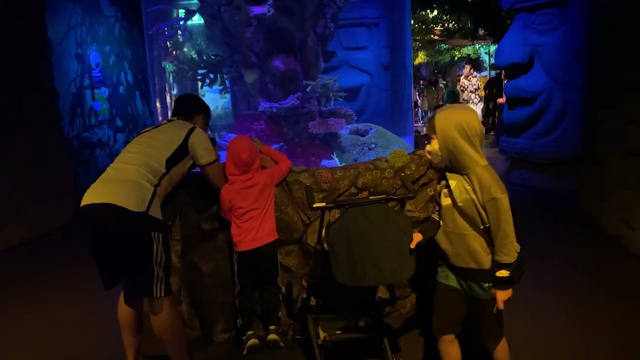 SEA Life Bangkok 2023 Journey