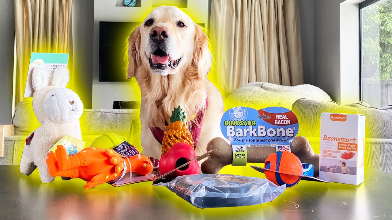 TOP 10 BEST REVIEWED DOG TOYS ON AMAZON! (Super Cooper Sunday 