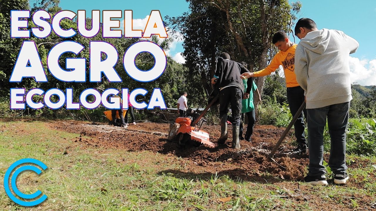 Escuela Agroecológica en Orocovis | El nacimiento de un mundo nuevo