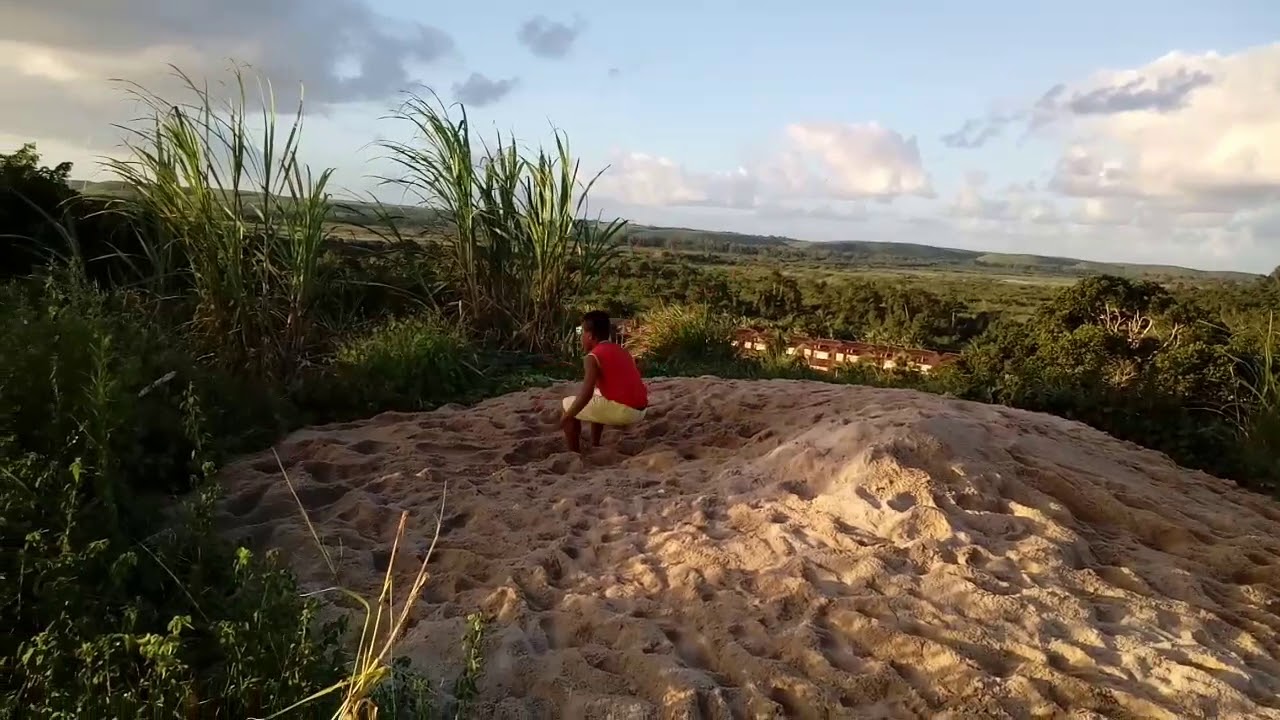 Saltos radicais