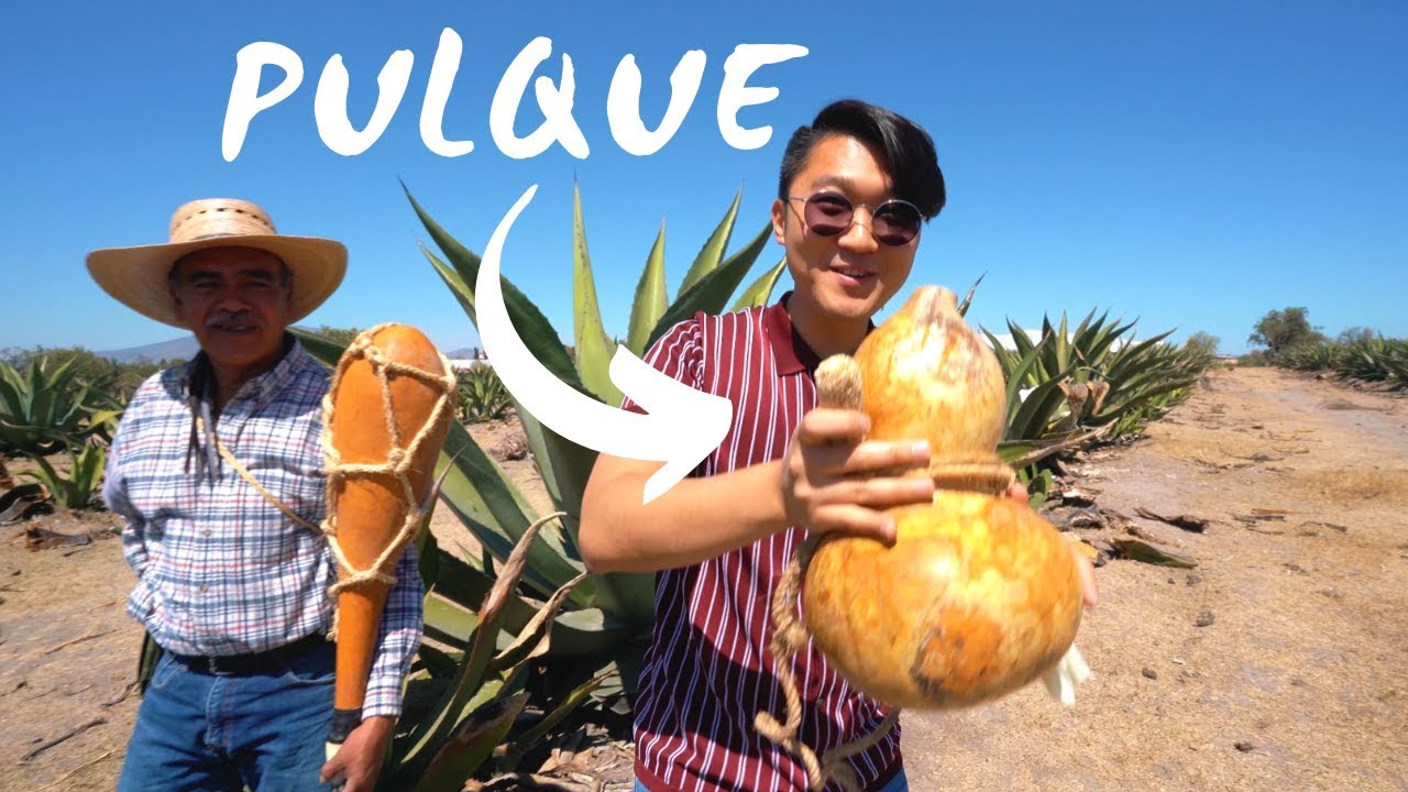 COREANO APRENDE A HACER PULQUE