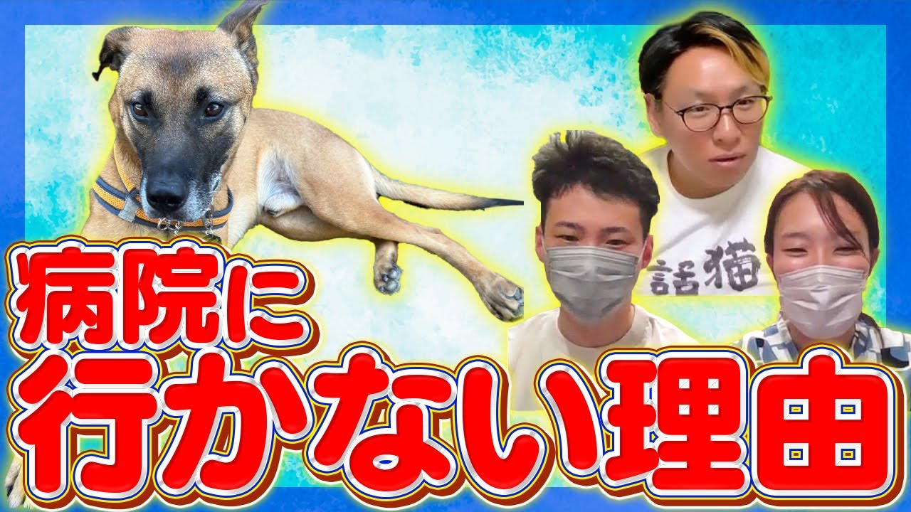 犬がなぜ嫌がるのか知りたくないですか❓