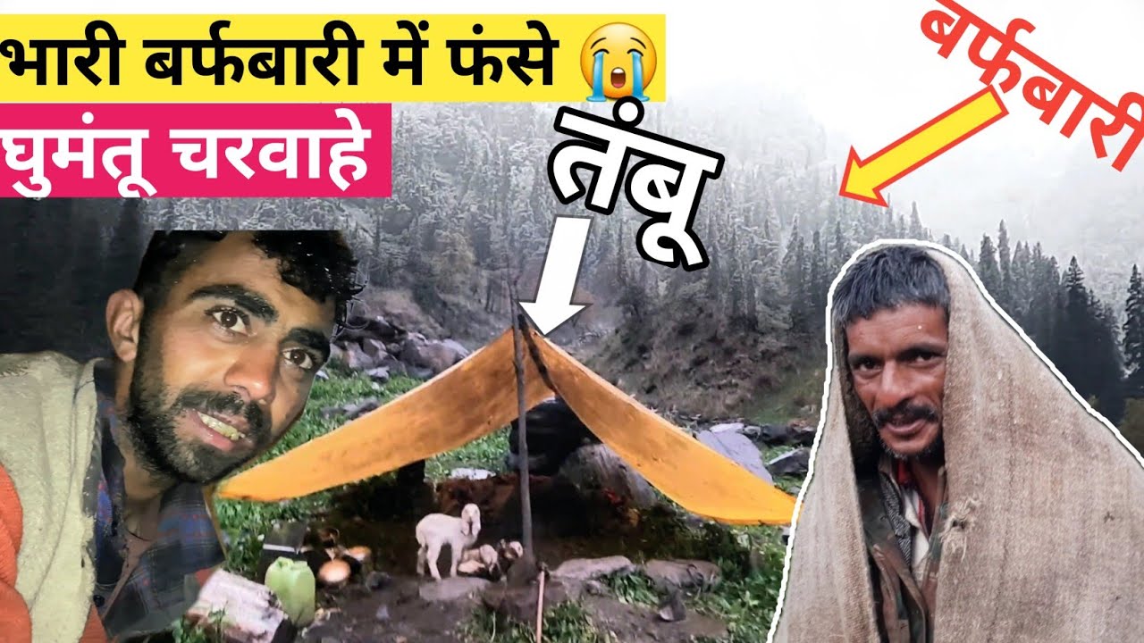 Heavy Storm, Rain, Snowfall and NOMADIC SHEPHERD In Jungle. सिर से पांव तक भीग गए 
