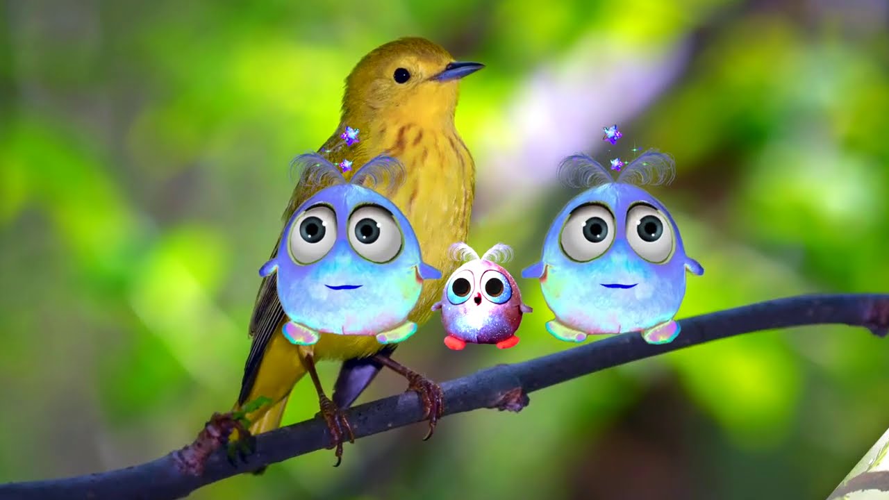 Muzyka Relaksacyjna dla Dzieci❤️ Natura🍀 Świergot Ptaków🐥 Odgłosy Natury✨ Śpiew Ptaszków🎶 Melodia🎶