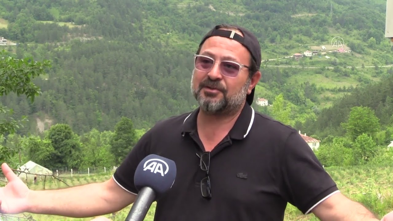 Şenpazar'da boş arazilerde  aronya yetişecek