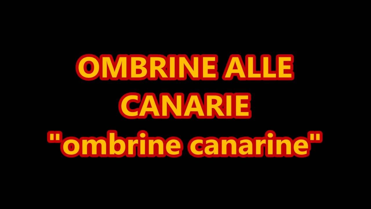 canarie gopro - ombrine canarine | PLAYA DE AMADORES
