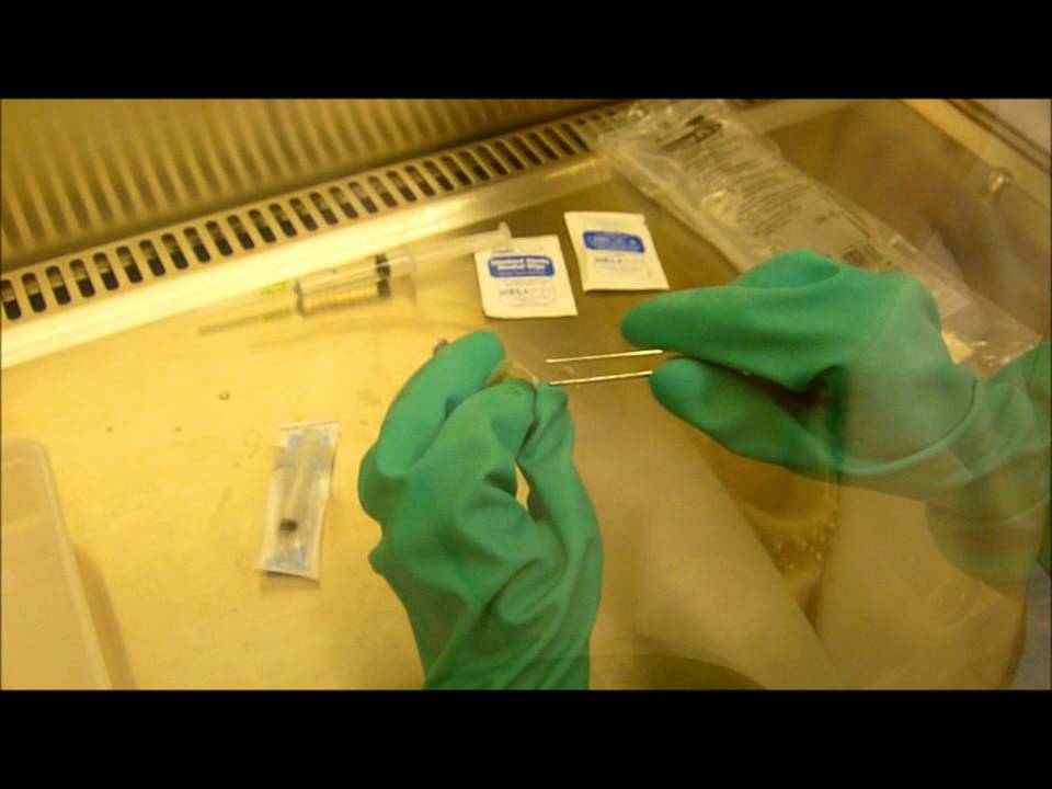 Aseptic Isolator task 2014 VIDEO