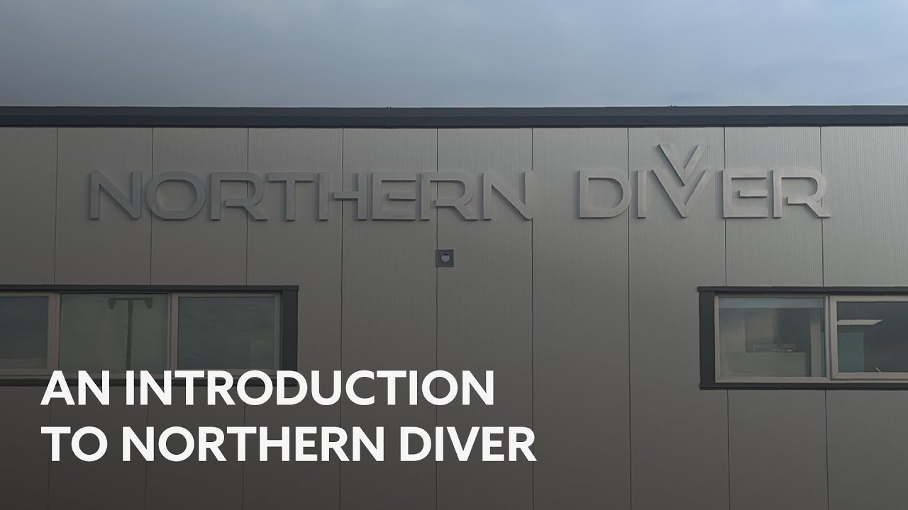 Introduction to Northern Diver
