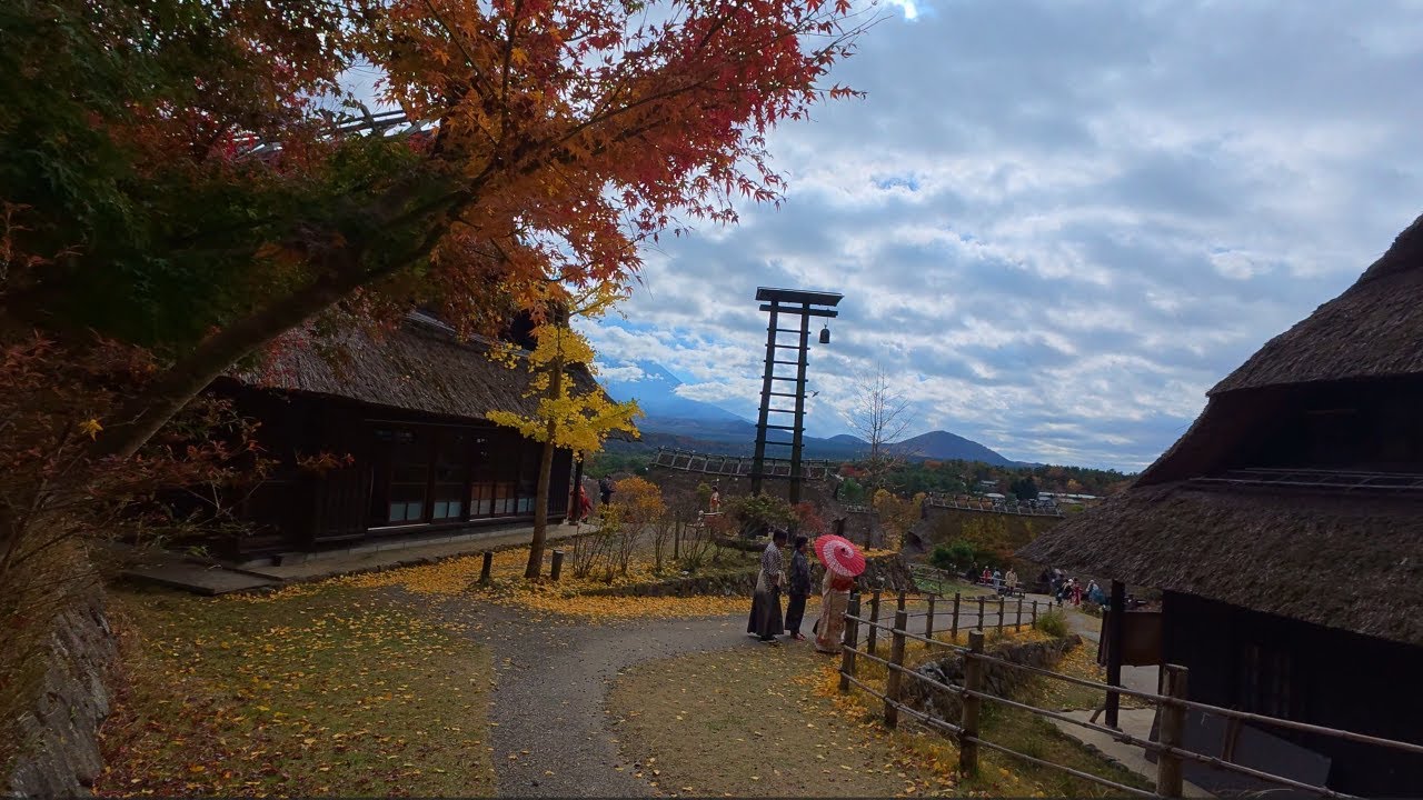 🍁 Mount Fuji in Autumn & Saiko Iyashi no Sato Nenba