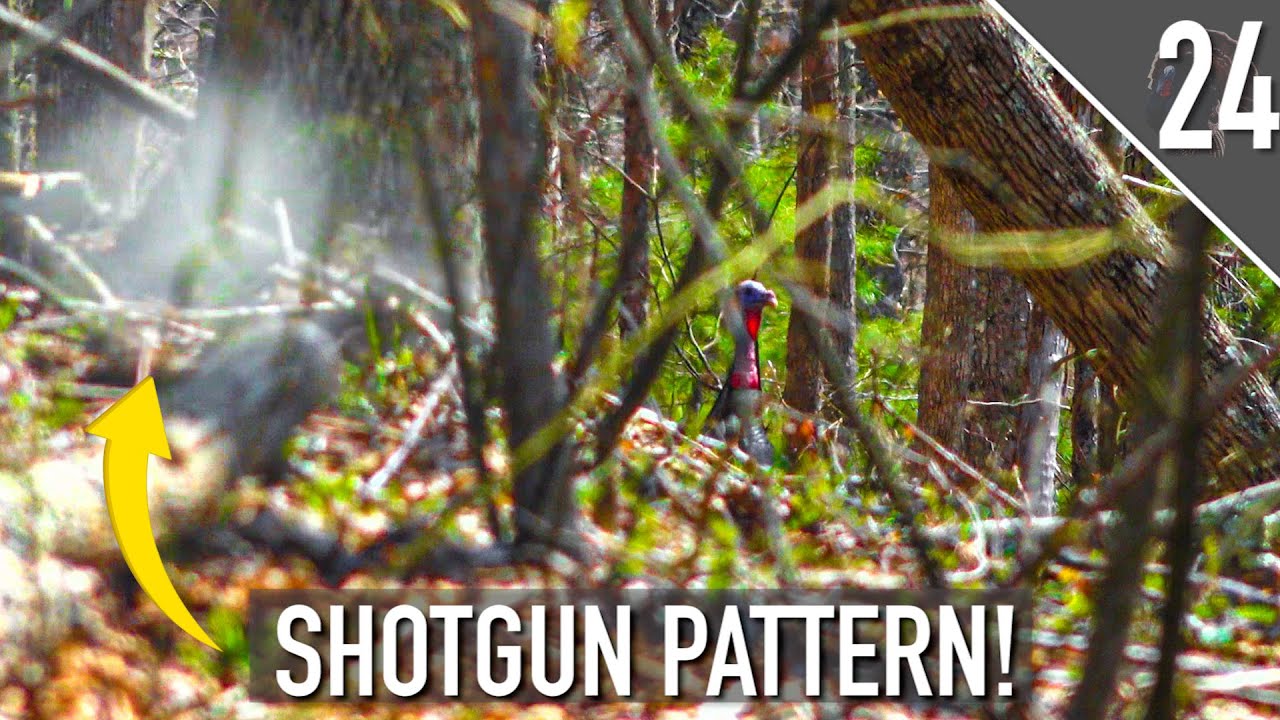HARDWOODS Spring Turkey Hunt! Virginia Public Land MADNESS Continues!