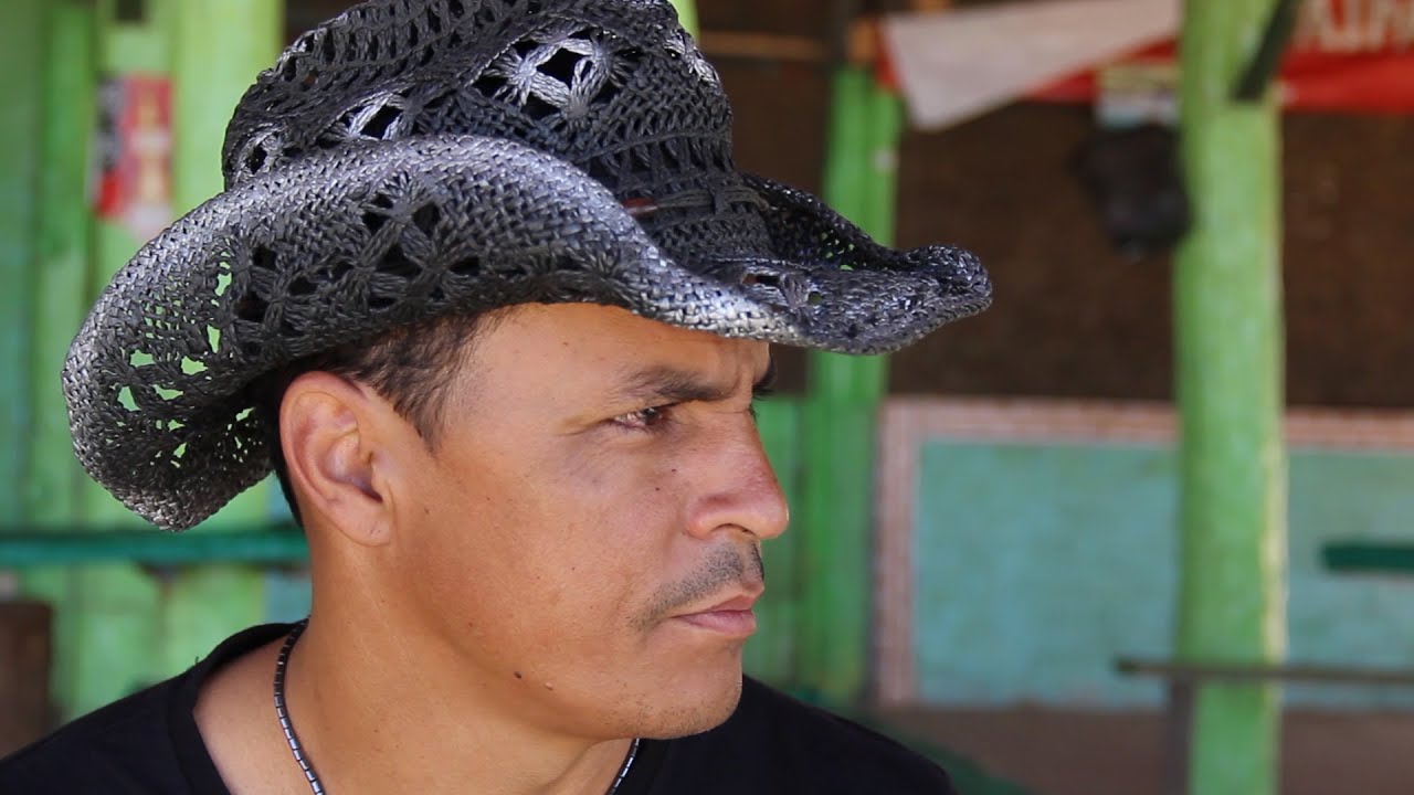 Vida, Farra e Curral - Banda Sela Dourada