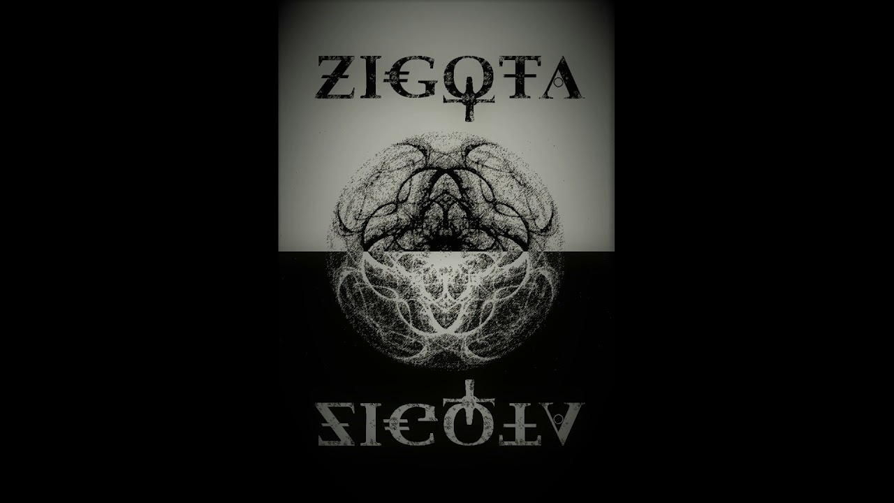 ZiGoTa - Faida t&eacute;