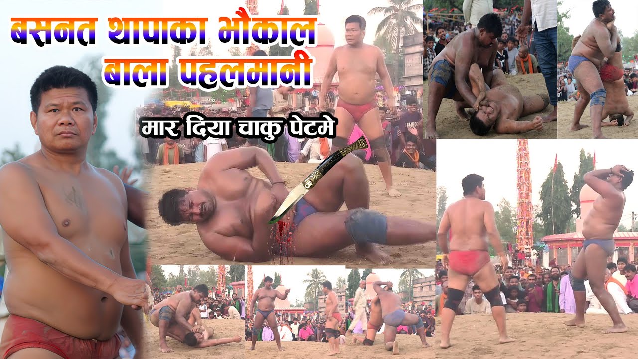 BASANT THAPA KA BHAUKAL BALI पहलमानी @mkproduction63 बसन्त थापा का भौकाल बालि पहलमानी  Pahalmani