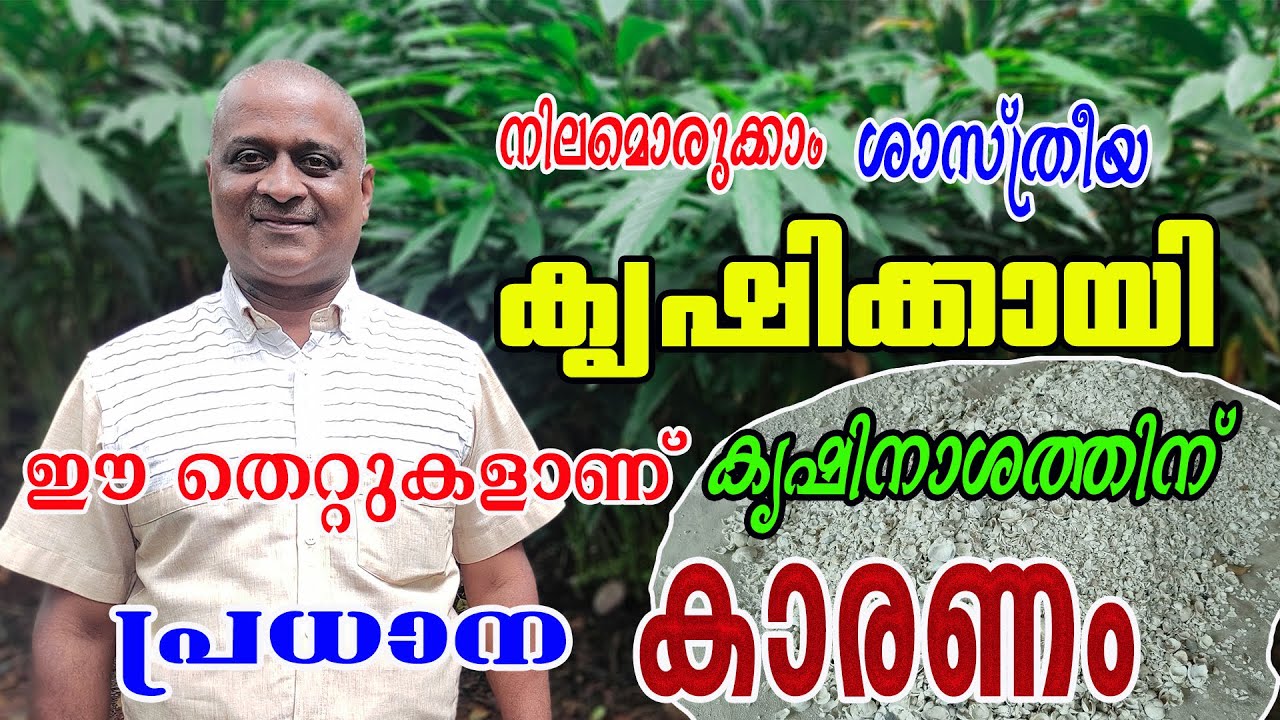 ഡോളമൈറ്റ് | കുമ്മായ൦ ഇവയിൽ ഏതാണ് ചിട്ടയായ മണ്ണൊരുക്കത്തിന് നല്ലത് ? |  Njaanoru Malayali