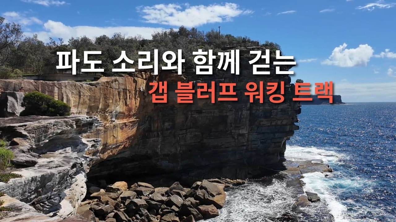 갭블러프 워킹트랙 [Gap Bluff Walking Track]