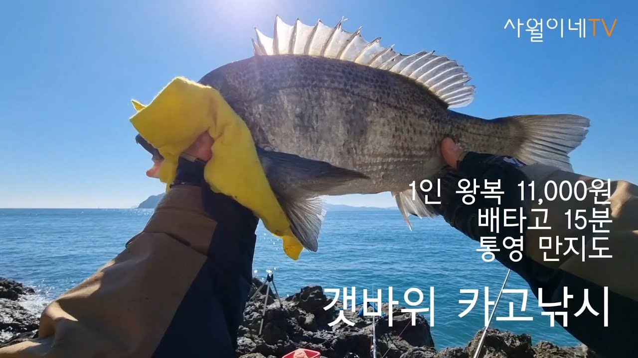 배타고15분 통영 만지도 갯바위 카고낚시로 짜릿한 손맛을