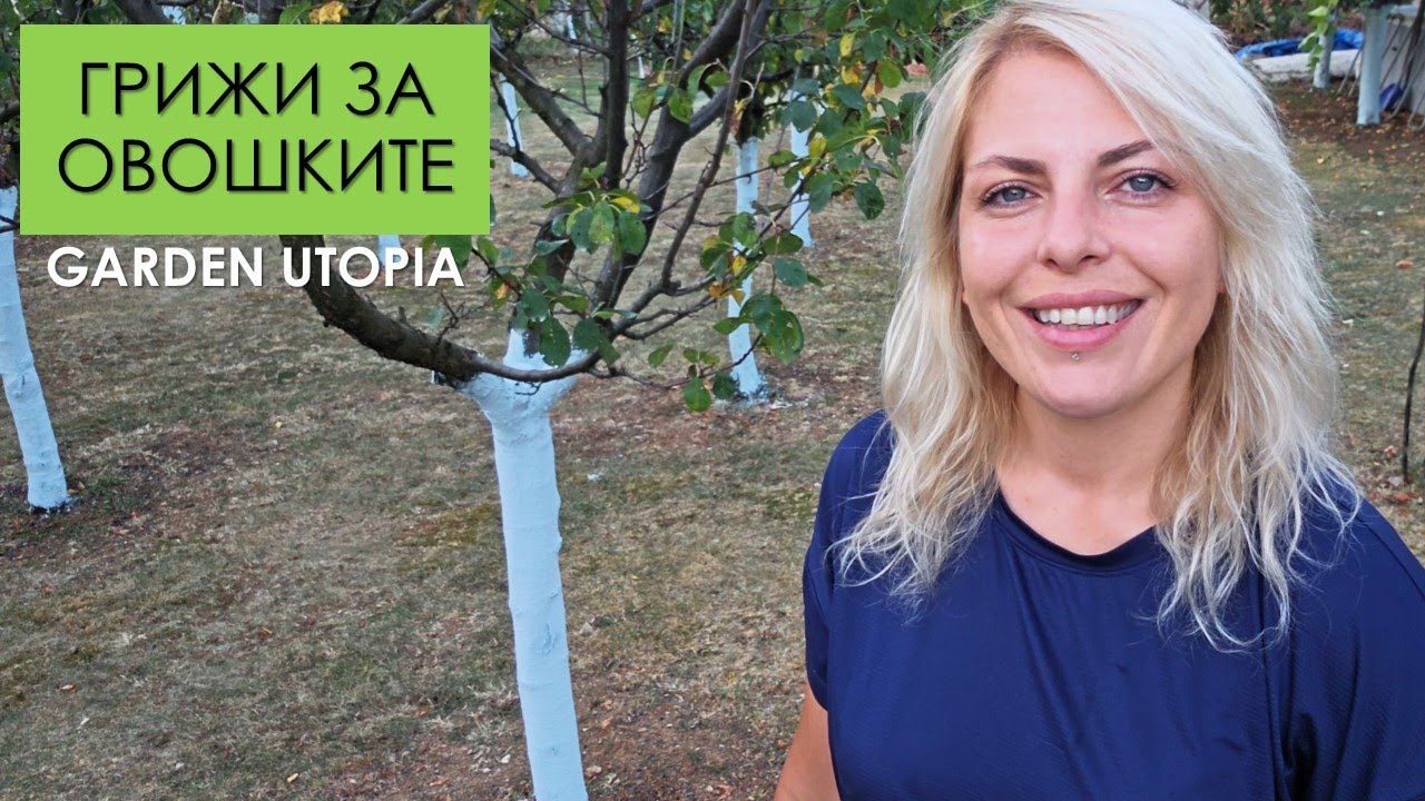 Есенни грижи за ОВОШКИТЕ