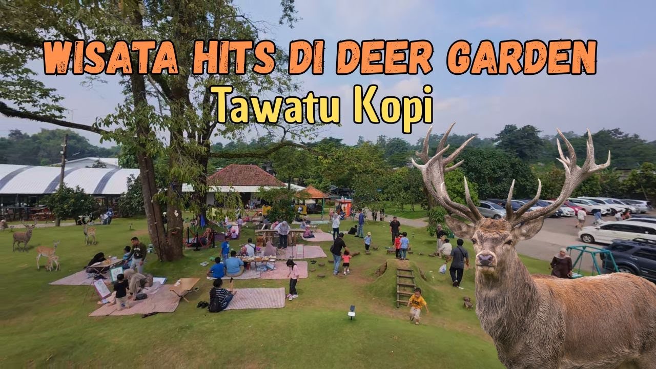 Review Lengkap Tawatu Kopi – Cafe Asri di Tengah Alam, Cocok Buat Keluarga #wisatapasuruan