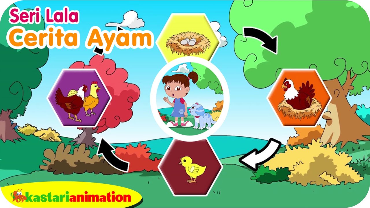 CERITA AYAM - BAGAIMANA AYAM BISA BERTELUR - Belajar Bersama Lala - Kastari Sentra Official
