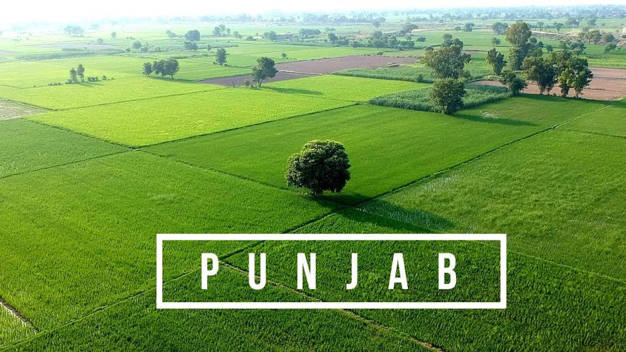 Beautiful Village in PUNJAB | DRONE VIEW