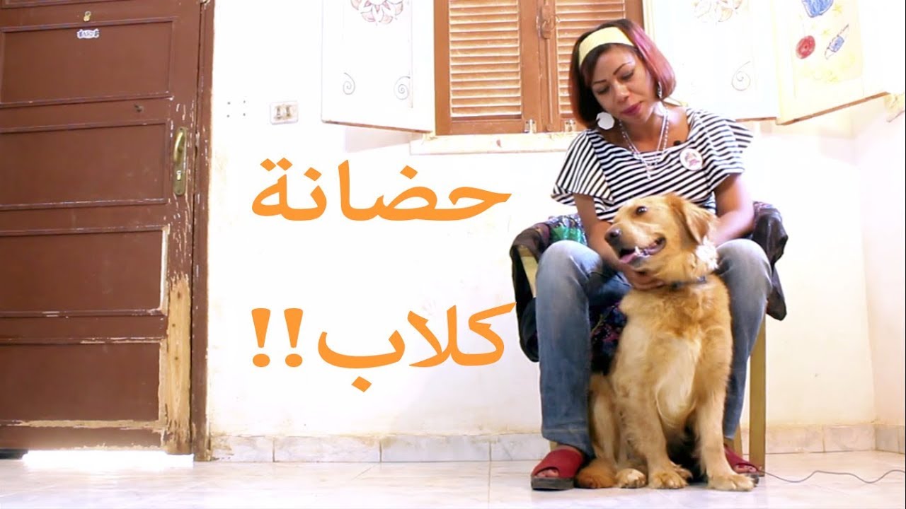 ستيللا 