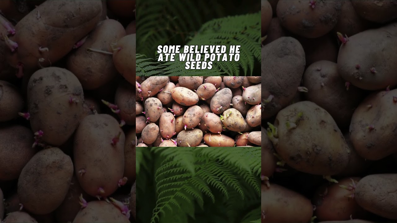 Did a Potato Seed Kill This Man?