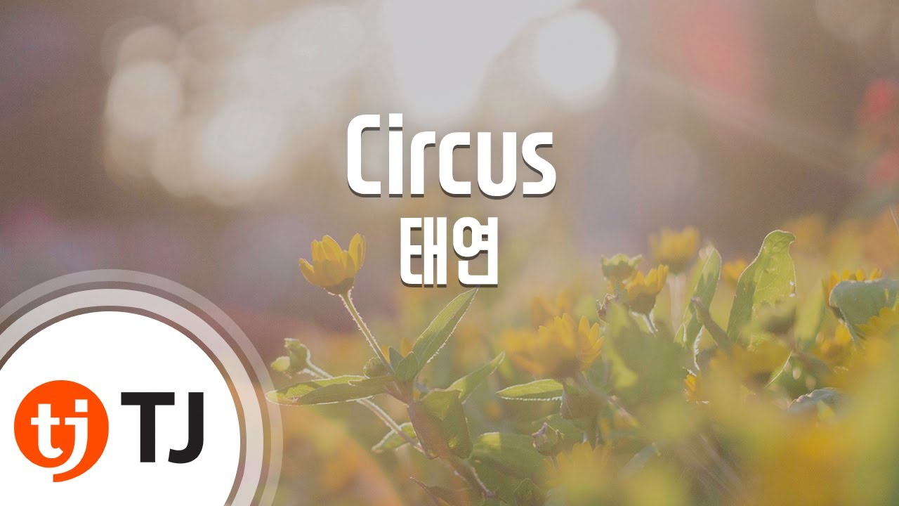 [TJ노래방] Circus - 태연(TAEYEON) / TJ Karaoke