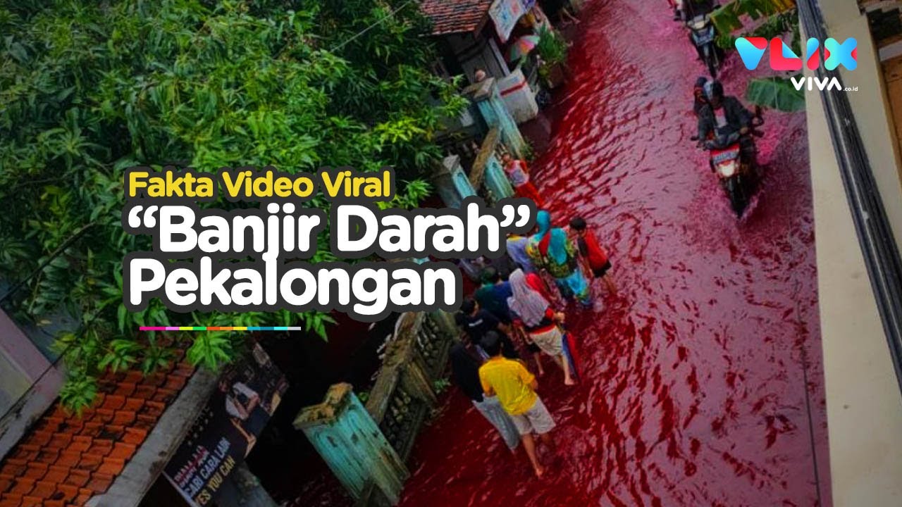 Fakta 