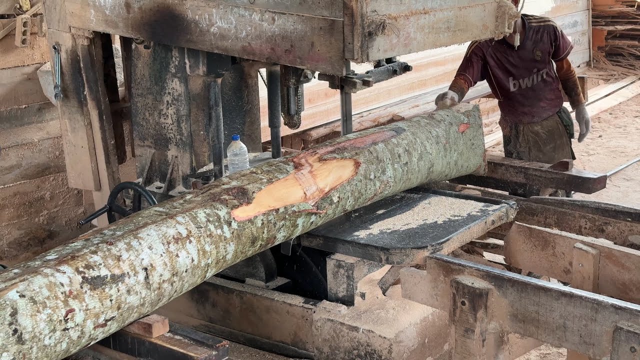 Complete Tutorial on Processing 2x20 Wood with a Machine