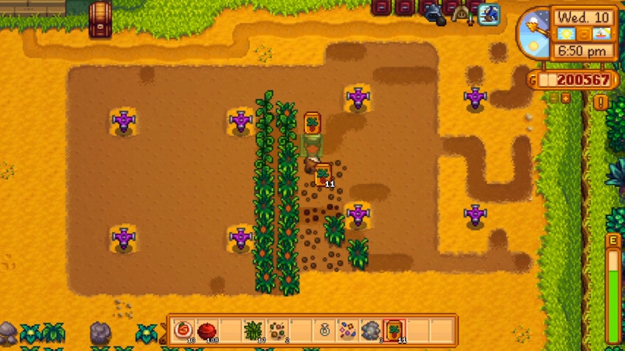 Stardew Valley Summer Y2D10 Gameplay