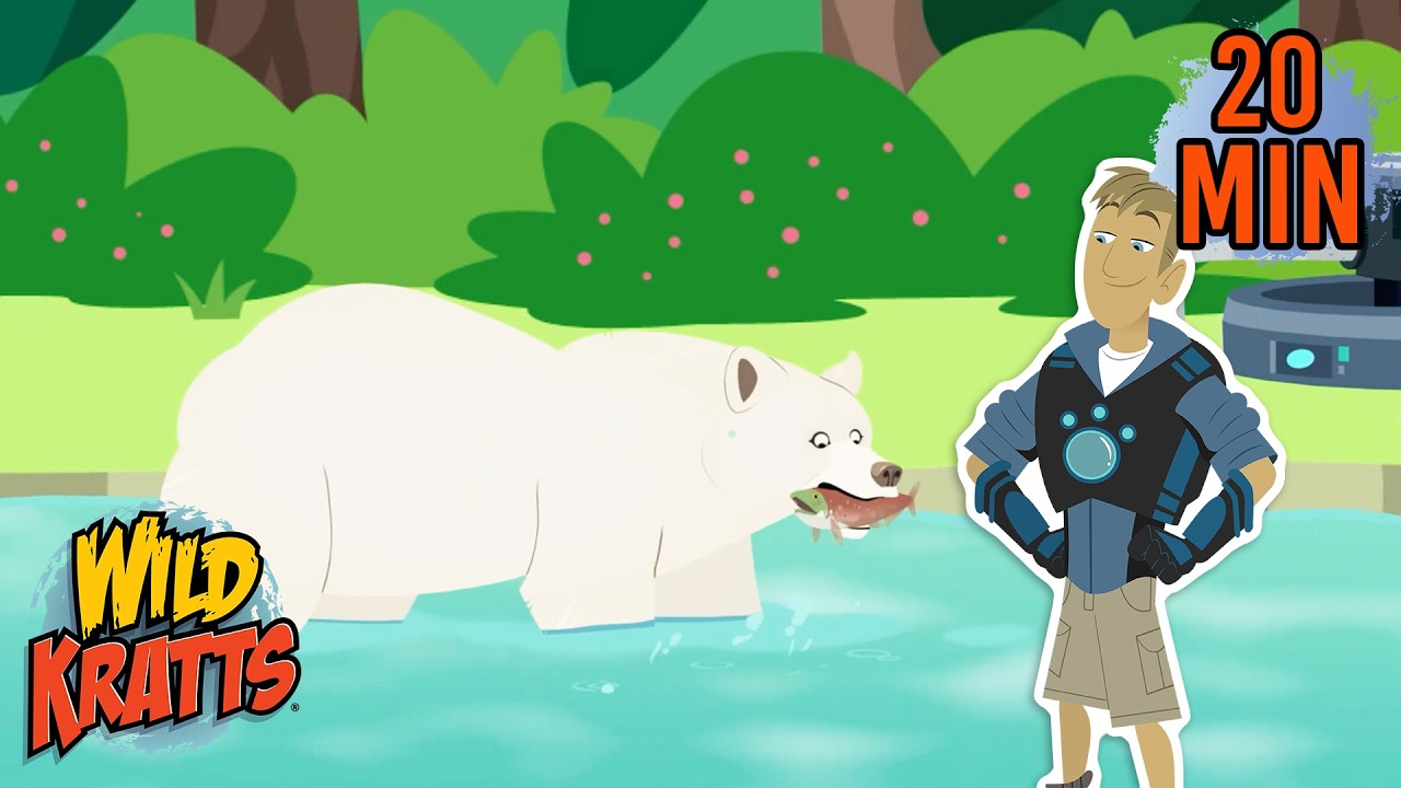 Black vs White Bear Fishing | Creature Battles | Wild Kratts