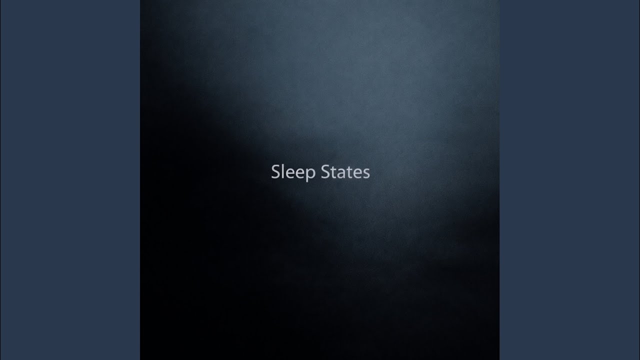 Sleep State IX