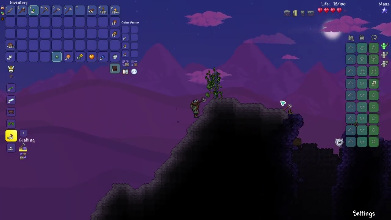 March 01 2026 - Terraria While pc getting fixed