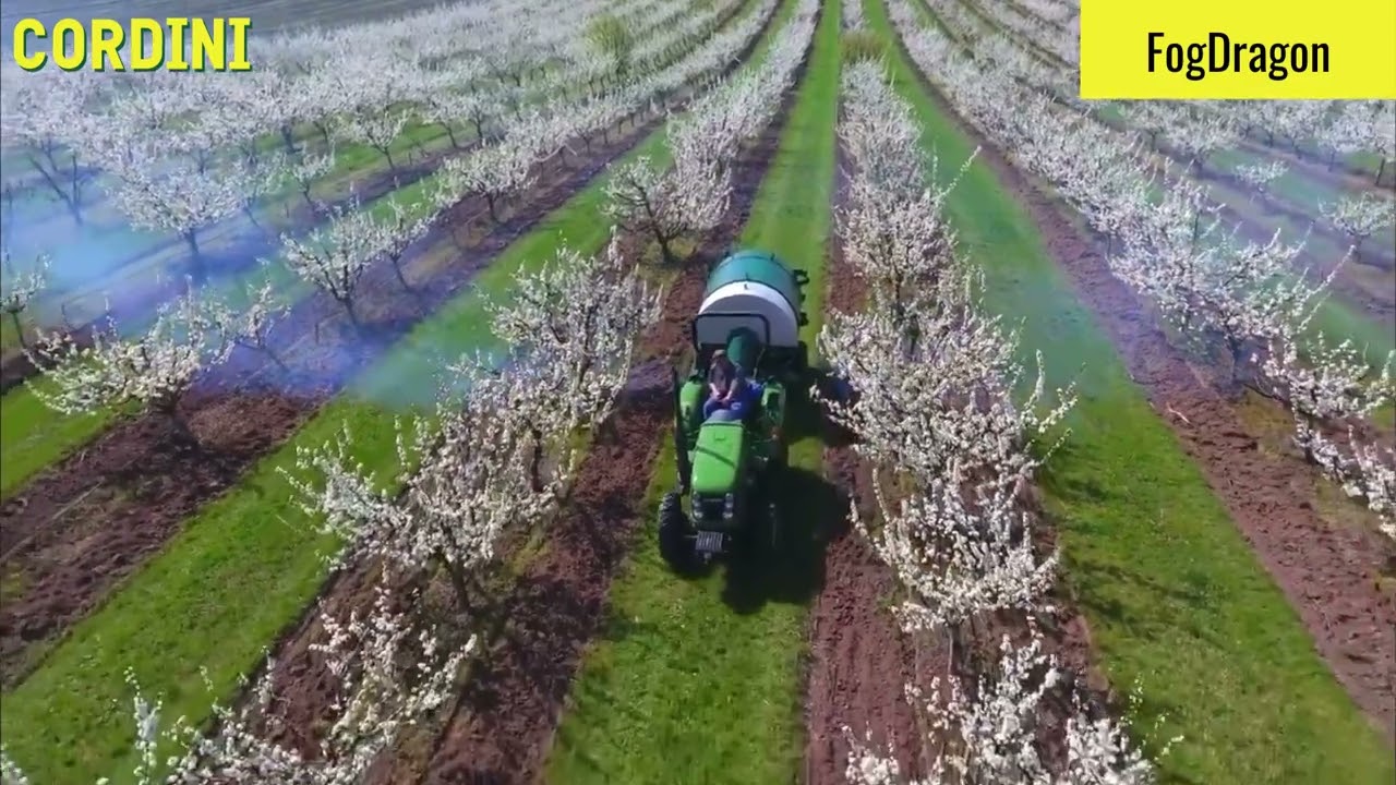 FOGDRAGON per il controllo delle gelate !