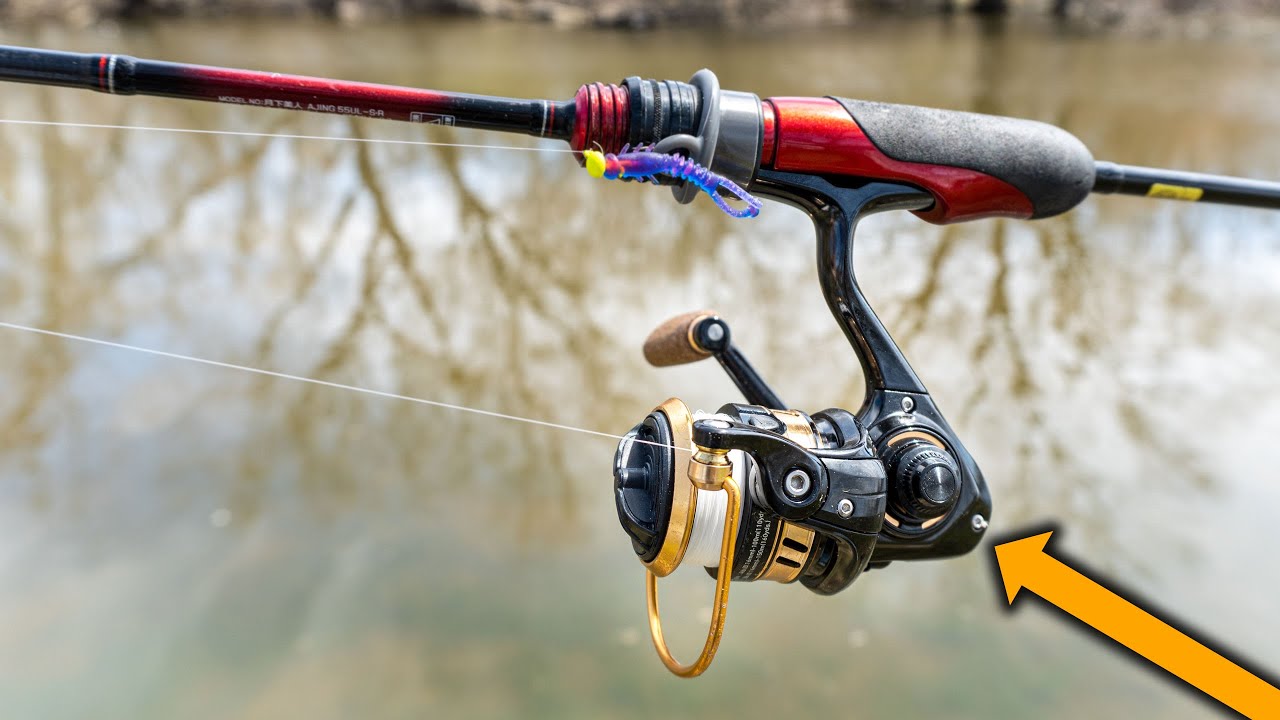Bank Fishing Over My Lunch Hour With The DAIWA QZ750!