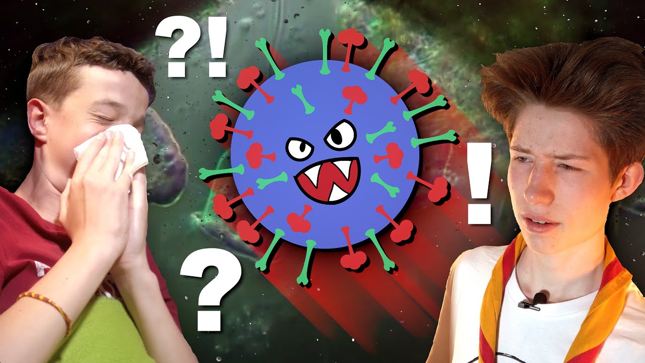 Wie wehrt sich unser K&ouml;rper gegen Krankheiten? | Antigene & Antik&ouml;rper erkl&auml;rt