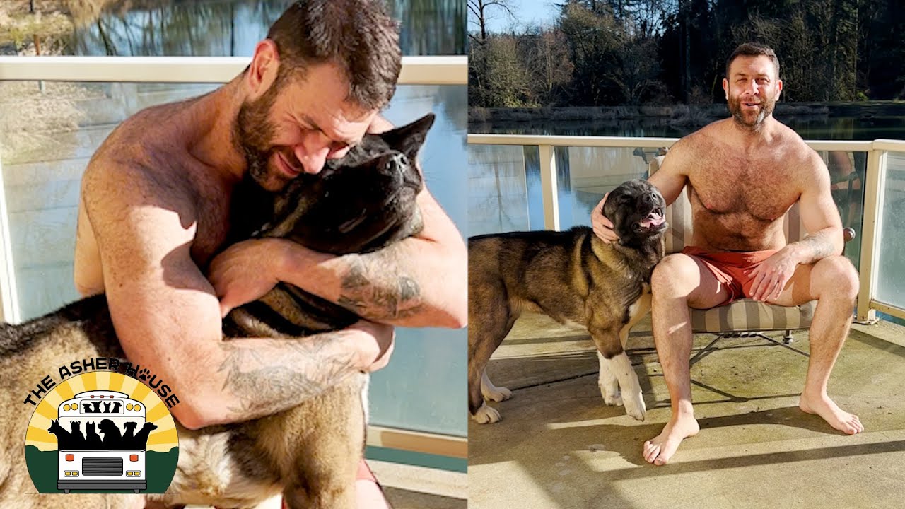 Amazing updates on Kiki the akita hit by a car | The Asher House