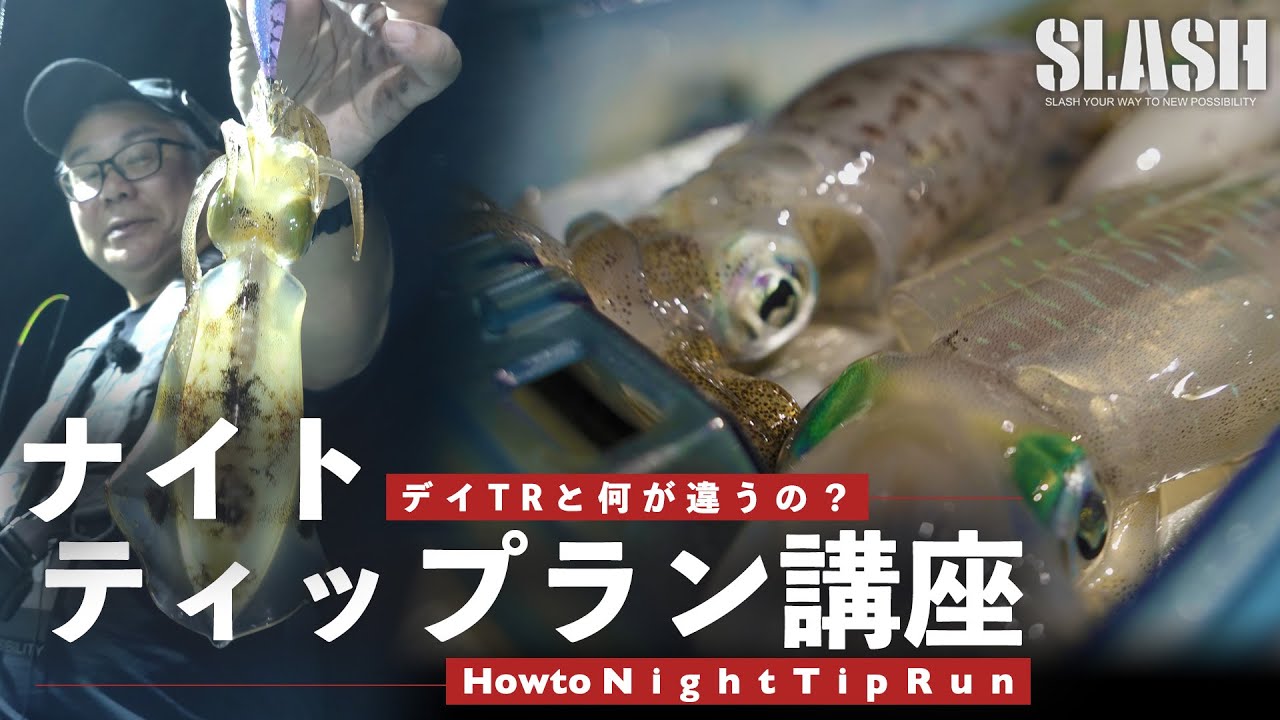 【夜アオリイカ】日中だけじゃない“夜のティップゲーム”が今年も開幕!!