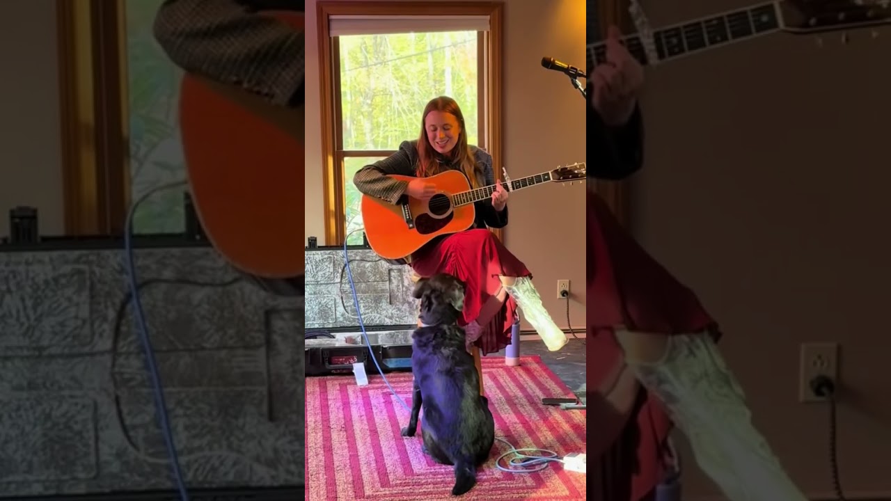 #singersongwriter #altcountry #indiefolk #americana #cutedog #dogshorts #livemusic #originalsong