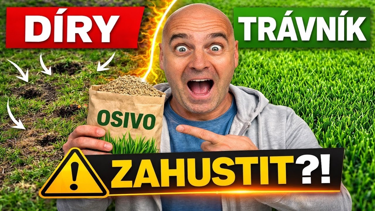 ⚠️ Jak zahustit trávník po zimě – 3 kroky, které fungují