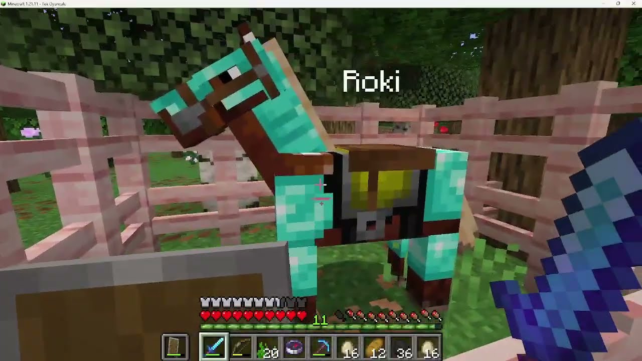 Yine Bir Süre Sonra Video(Minecraft)