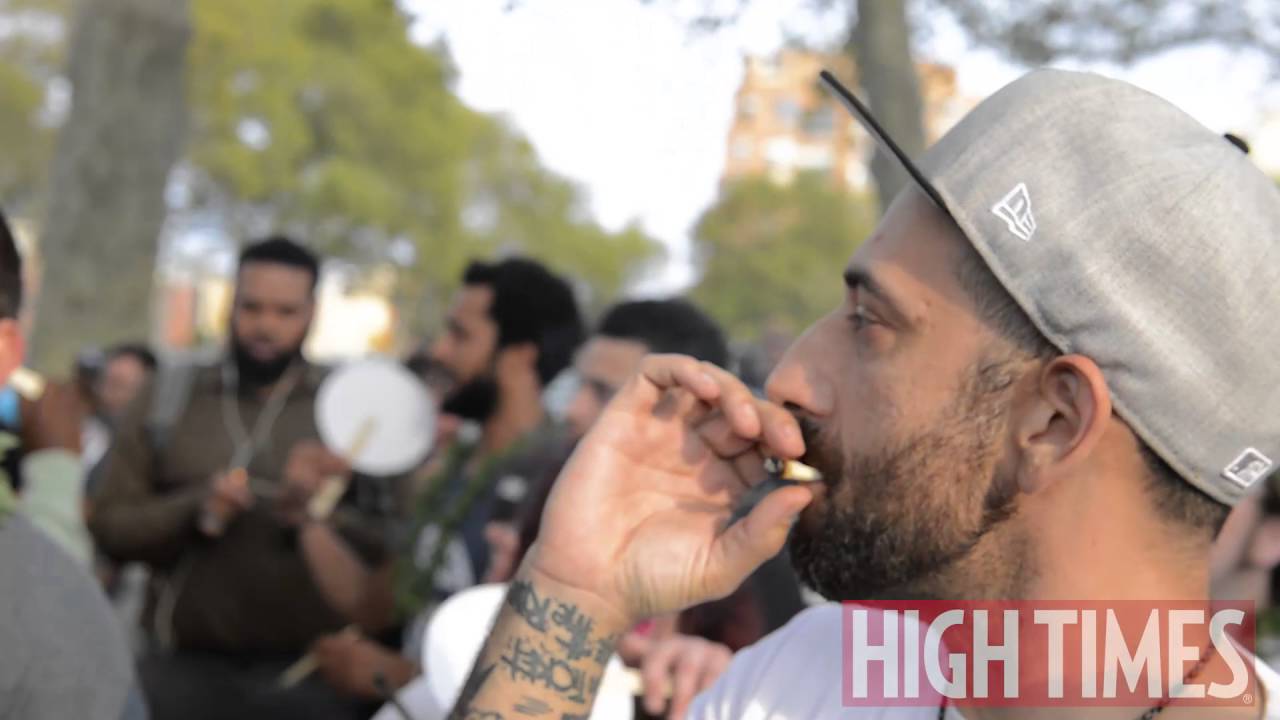 A Pop-Up Marijuana Garden in Philadelphia?!!