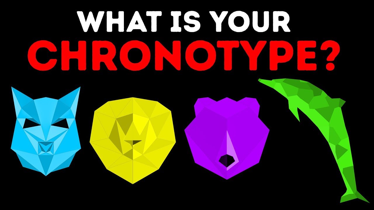 A Quick Test Will Show Your Sleep Chronotype