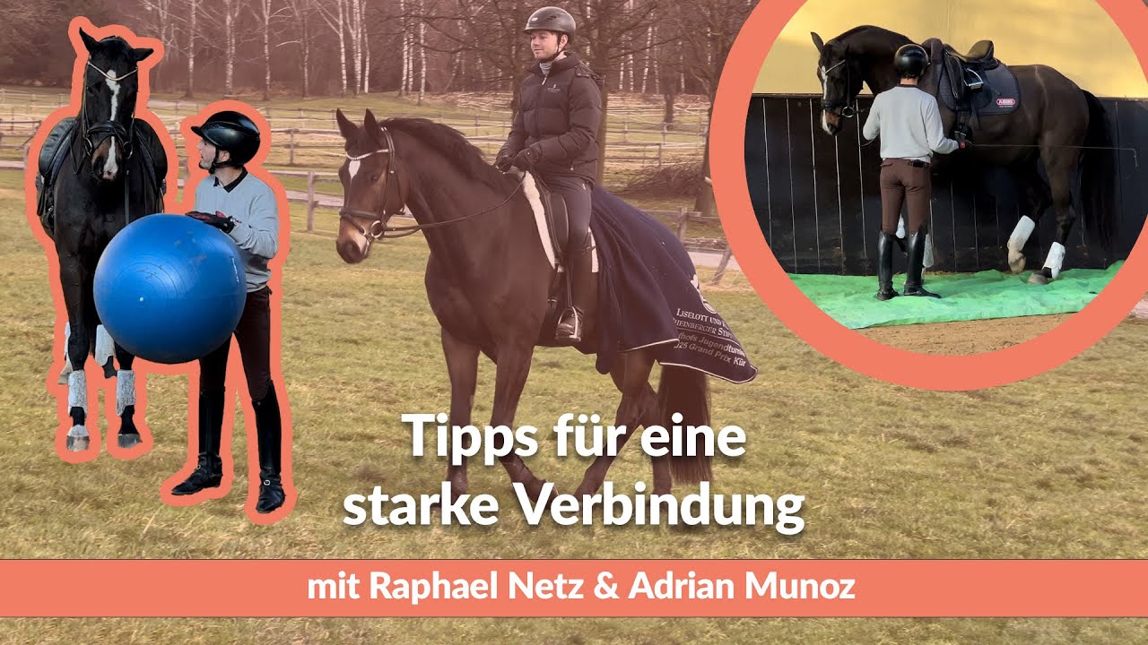 Tipps f&uuml;r eine starke Verbindung &ndash; so f&ouml;rderst du die Motivation & Konzentration deines Pferdes