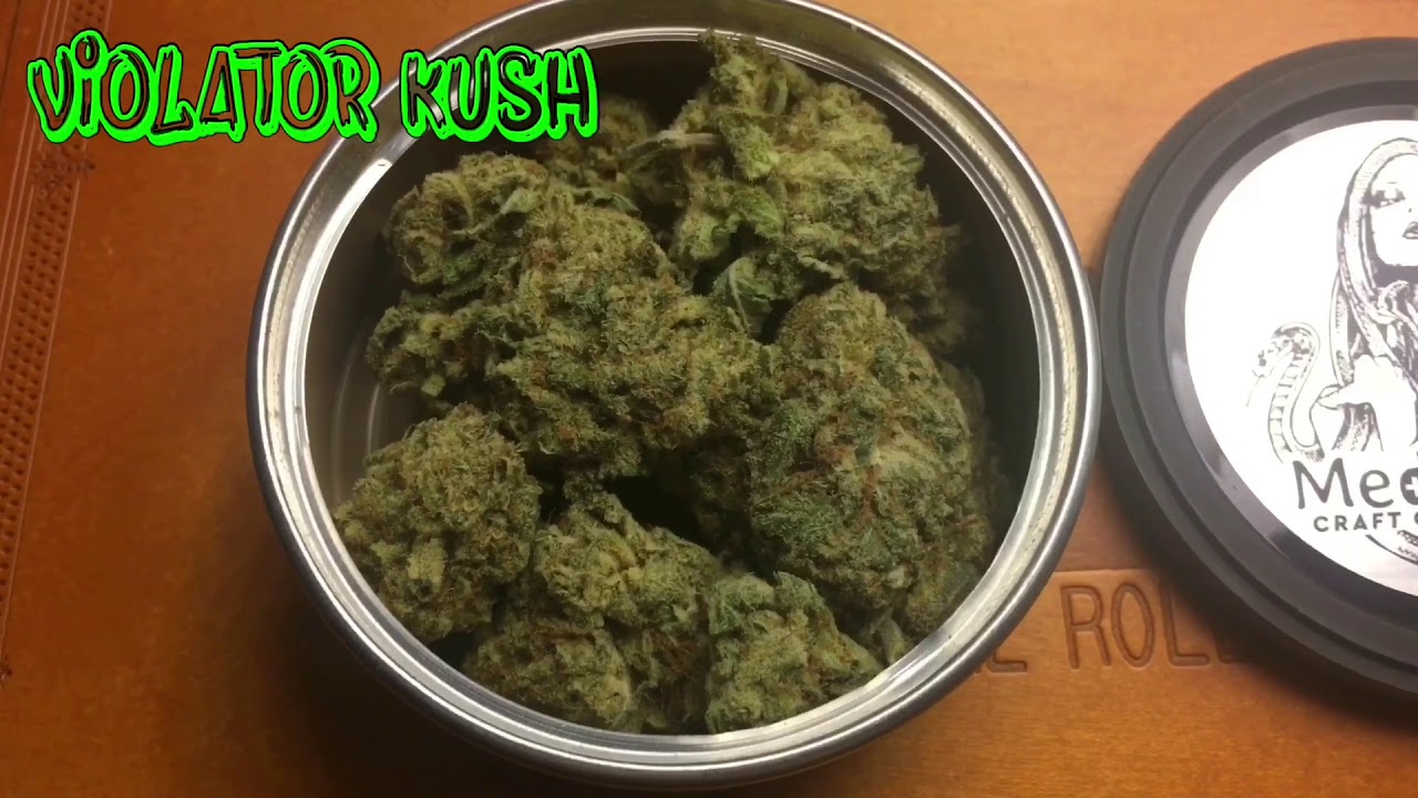 Violator Kush Strain