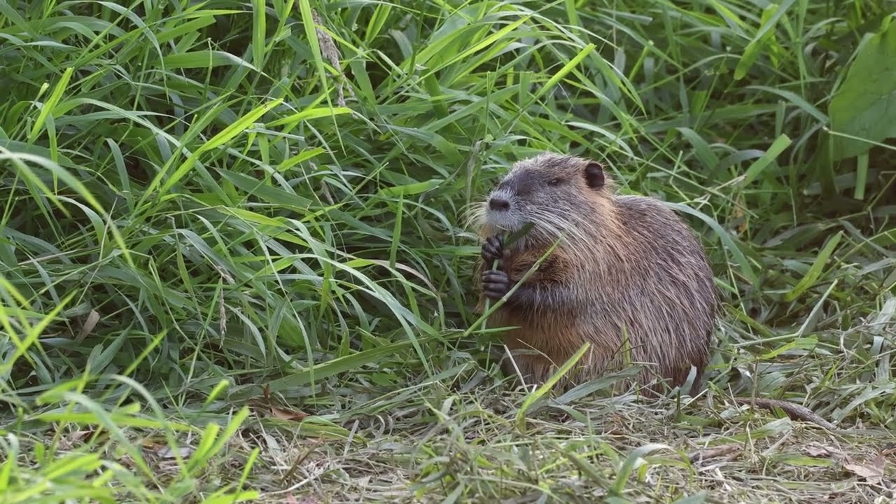 Nature and Wildlife 2023 - Jerichower Land